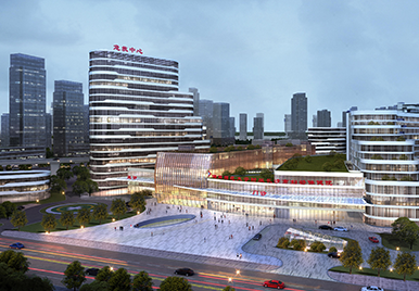 “长沙市妇幼”建设项目全过程工程咨询